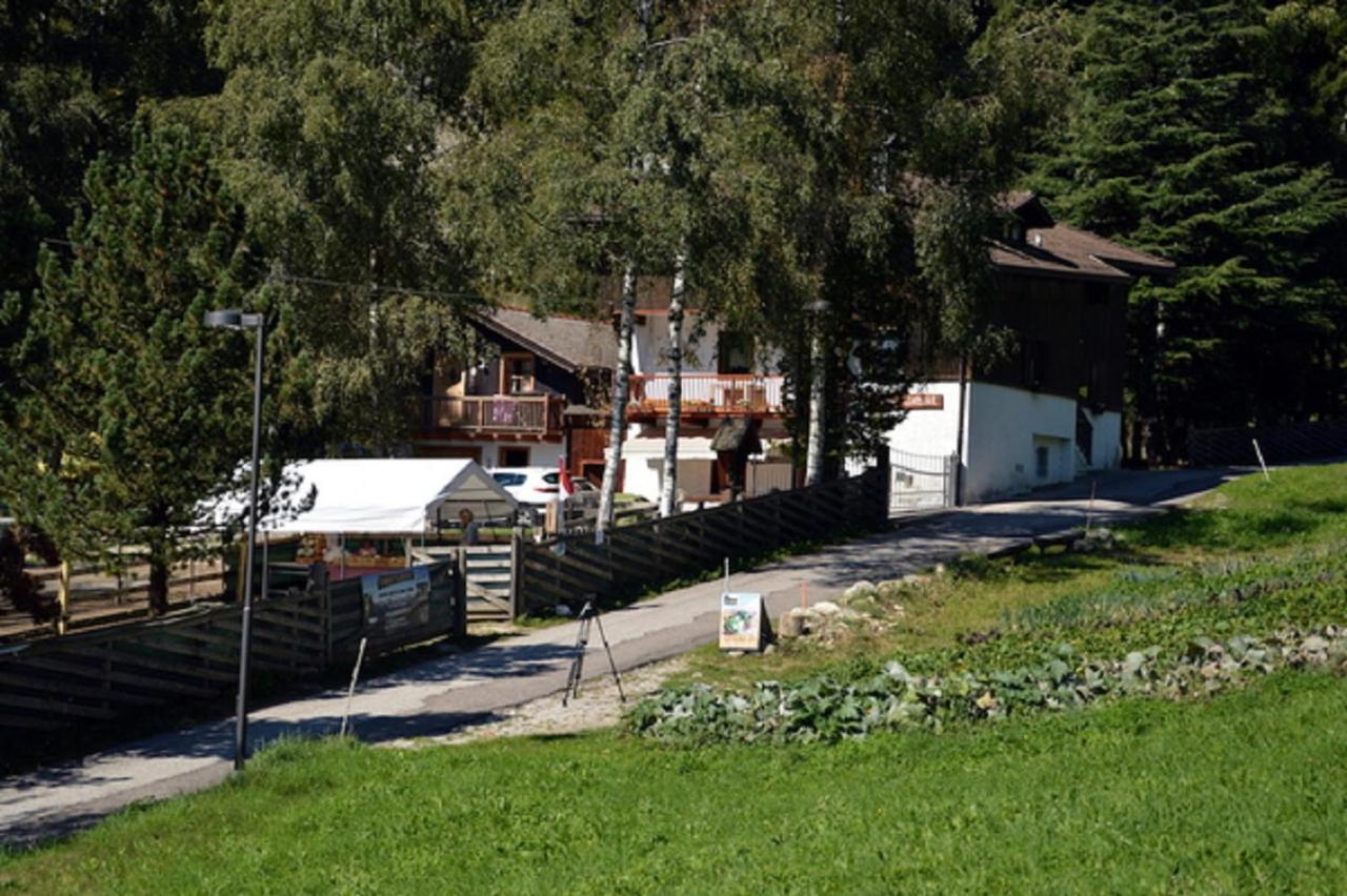 Maso Kofler Villa Rumo ภายนอก รูปภาพ